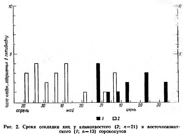 Рис. 2. Сроки откладки яиц у клинохвостого (2; я=21) и восточноазиат ского (1; я=13) сорокопутов