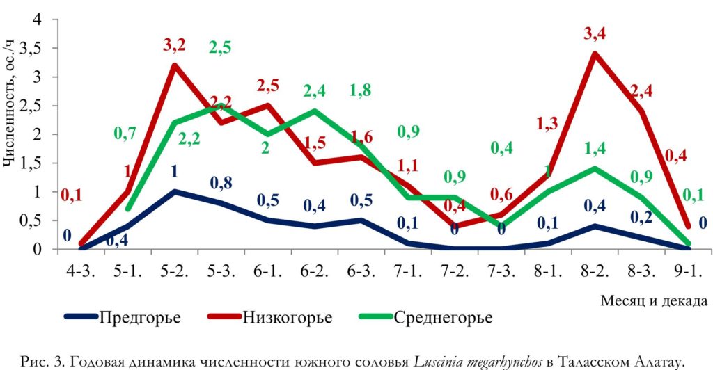 Рис. 3. Годовая динамика численности южного соловья Luscinia megarhynchos в Таласском Алатау.