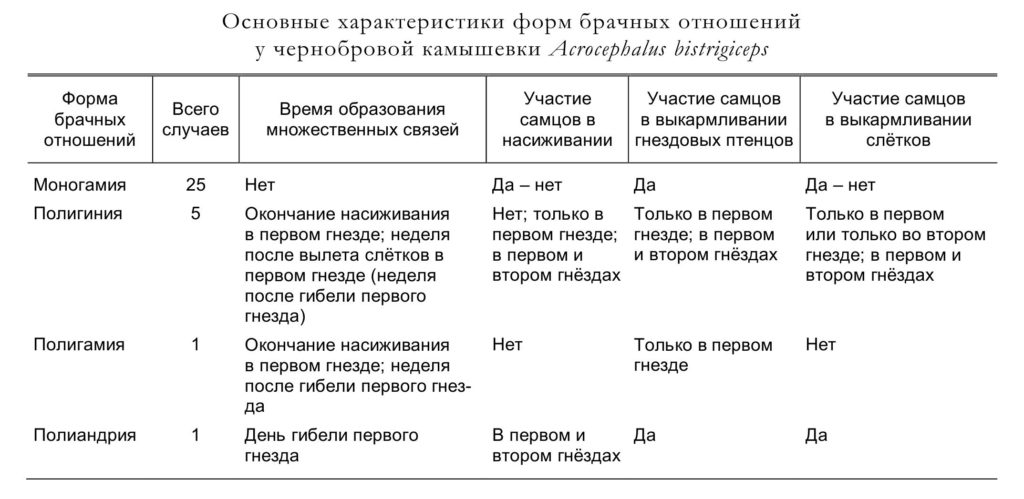 Основные характеристики форм брачных отношений у чернобровой камышевки Acrocephalus bistrigiceps