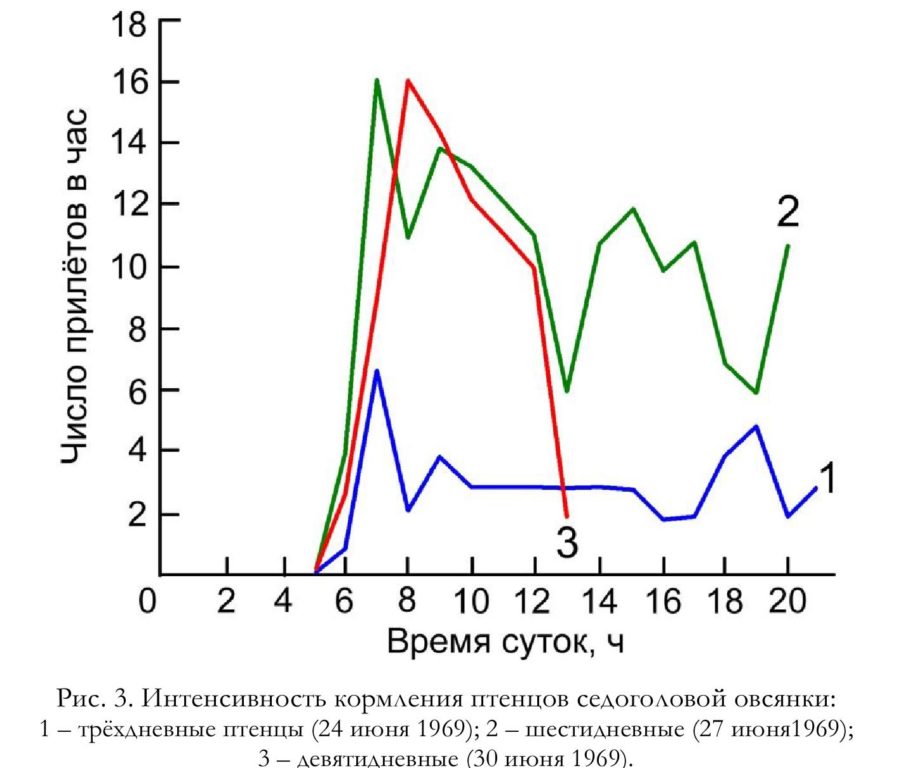 Рис. 3. Интенсивность кормления птенцов седоголовой овсянки