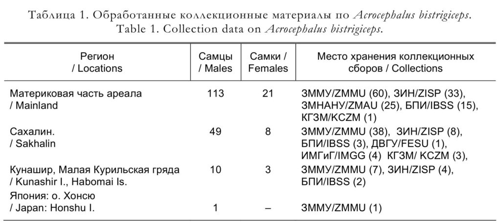 Таблица 1. Обработанные коллекционные материалы по Acrocephalus bistrigiceps