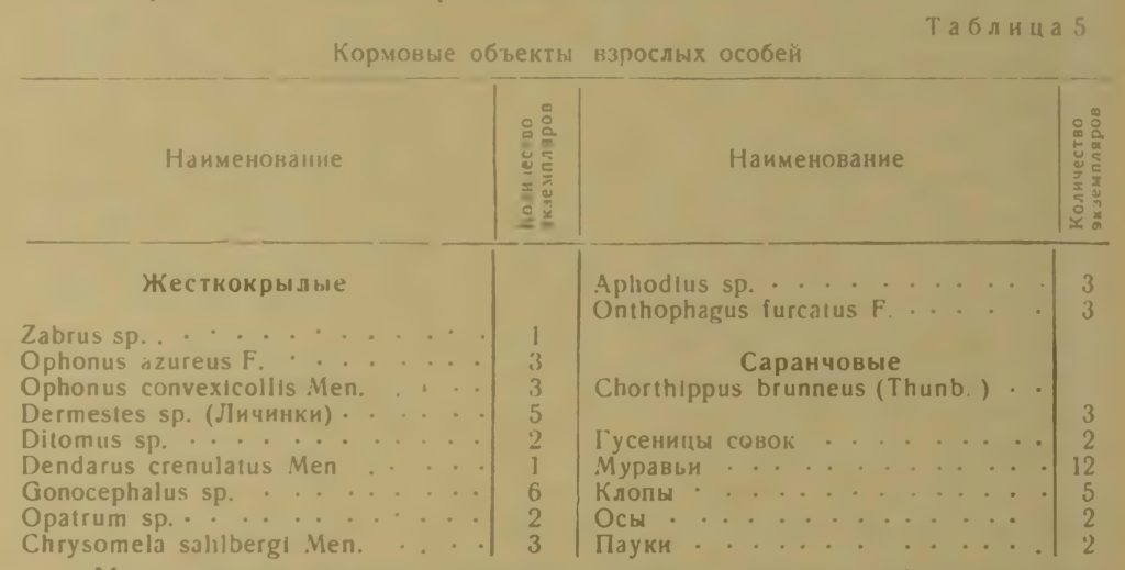 Кормовые объекты взрослых особей