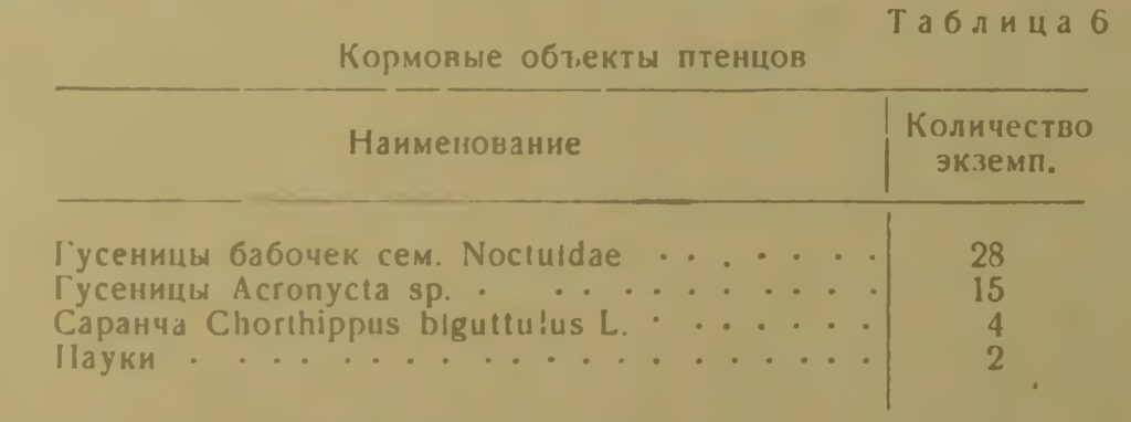 Кормсжьіе объекты птенцов