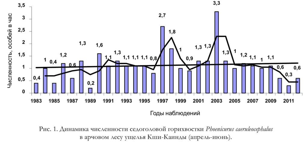 Рис. 1. Динамика численности седоголовой горихвостки Phoenicurus caeruleocephalus   в арчовом лесу ущелья Кши-Каинды (апрель-июнь).