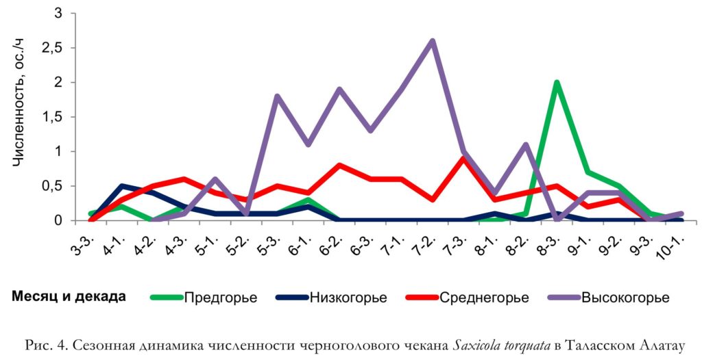 Рис. 4. Сезонная динамика численности черноголового чекана Saxicola torquata в Таласском Алатау