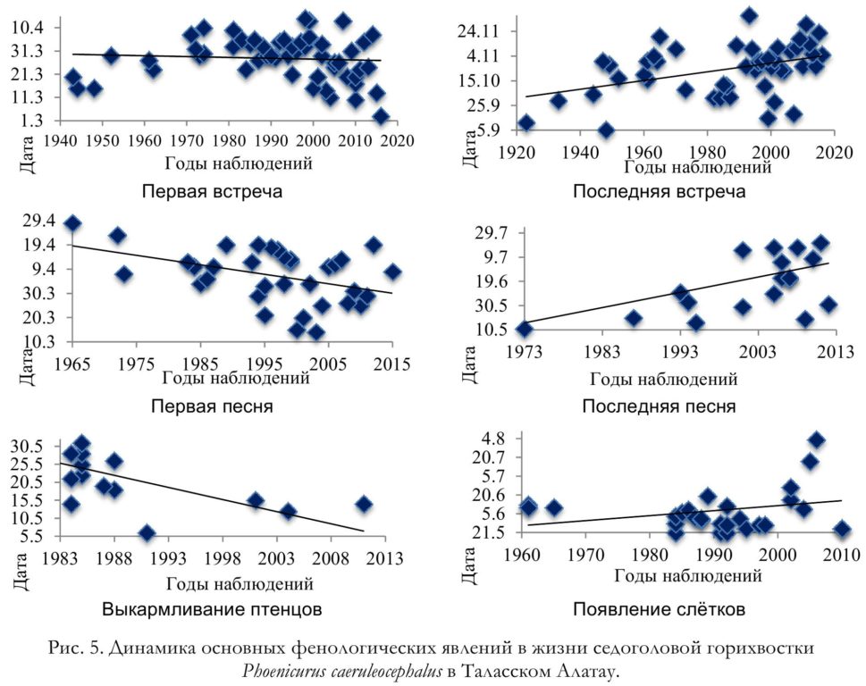 Рис. 5. Динамика основных фенологических явлений в жизни седоголовой горихвостки   Phoenicurus caeruleocephalus в Таласском Алатау.