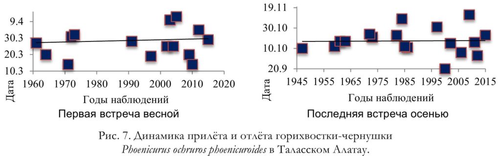 Рис. 7. Динамика прилёта и отлёта горихвостки-чернушки   Phoenicurus ochruros phoenicuroides в Таласском Алатау.