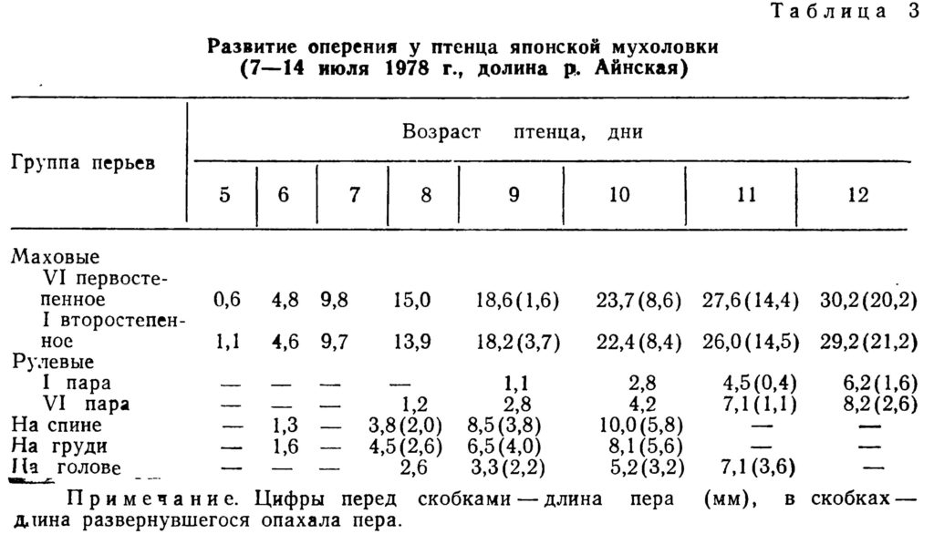 Развитие оперения у птенца