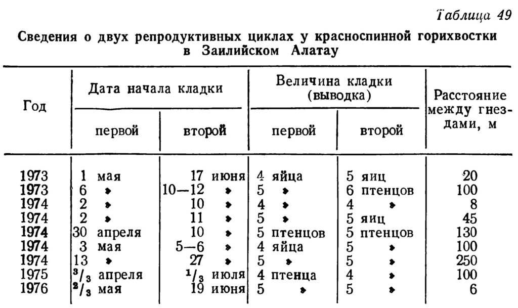 Сведения  о  двух  репродуктивных  циклах  у  красноспинной  горихвостки 