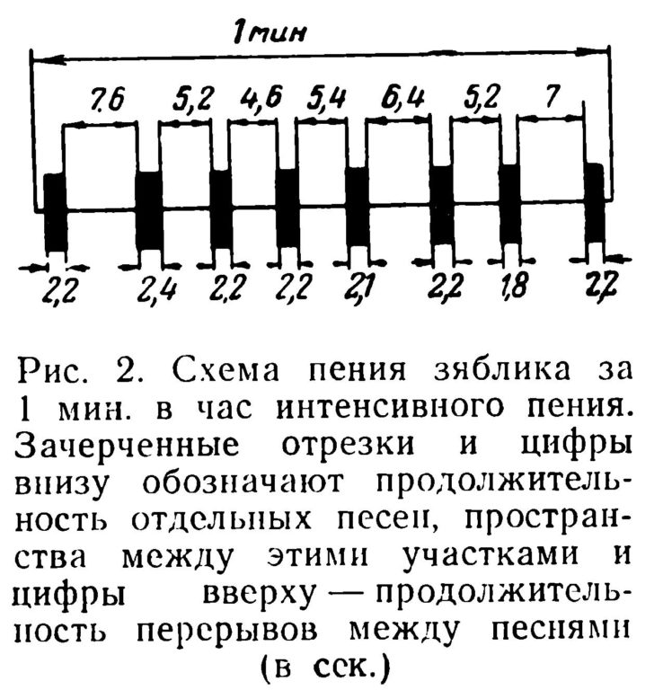 Схема пения зяблика 
