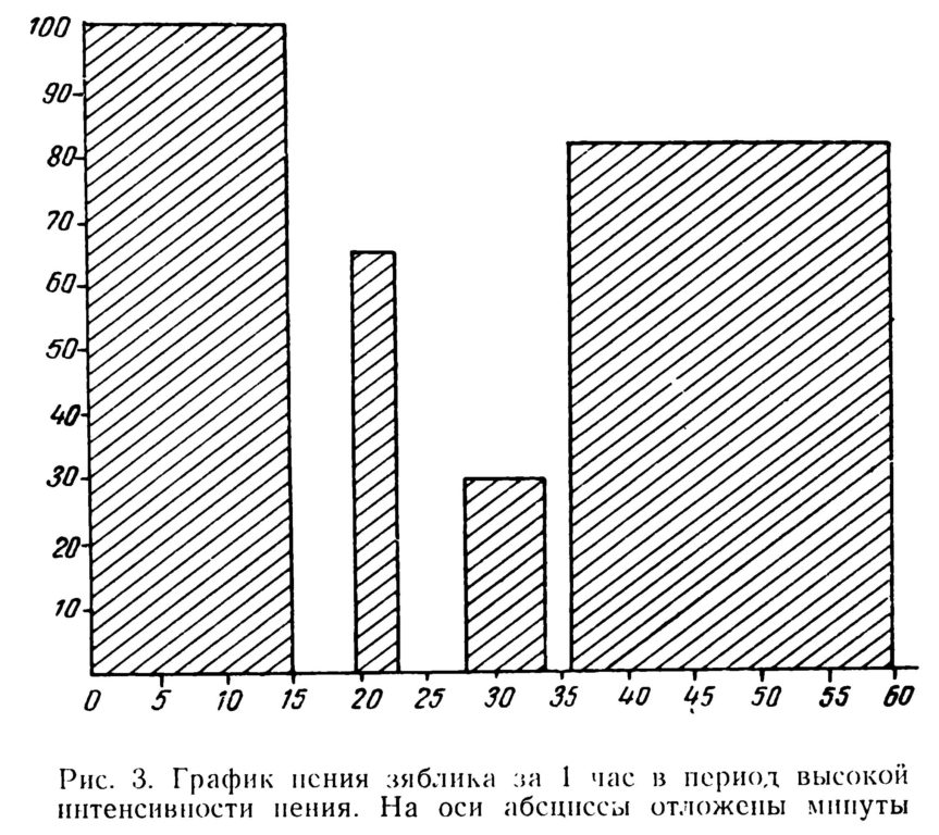 Рис. 3. График пения зяблика за 1 час в период высокой  интенсивности пения. 