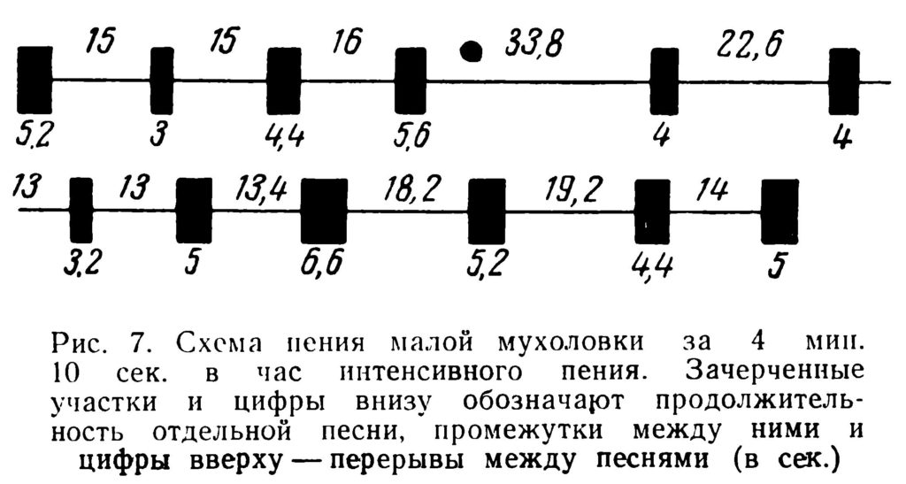 Рис. 7. Схема пения малой мухоловки за 4 мин. 