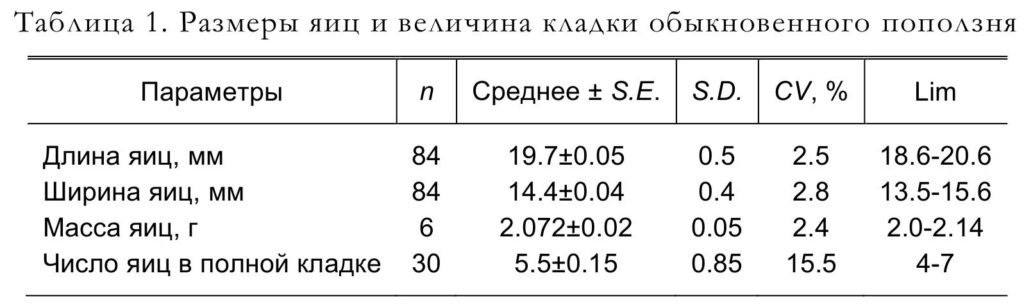 Таблица 1. Размеры яиц и величина кладки обыкновенного поползня