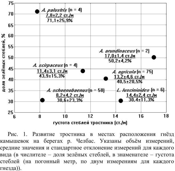 Рис. 1. Развитие тростника в местах расположения гнёзд камышевок на берегах р. Челбас.