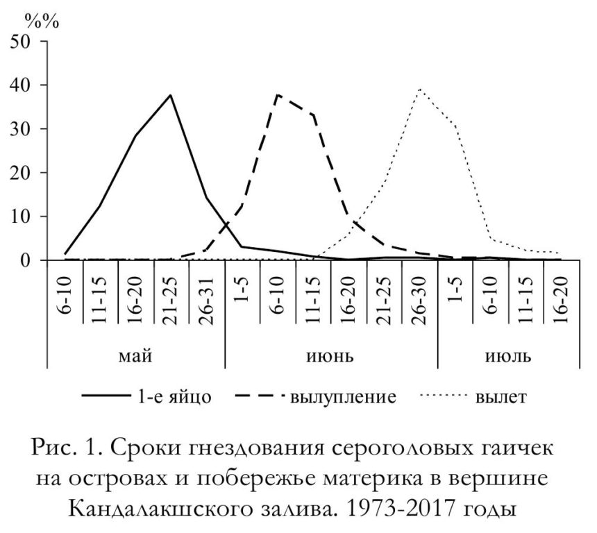 Рис. 1. Сроки гнездования сероголовых гаичек на островах и побережье материка в вершине Кандалакшского залива