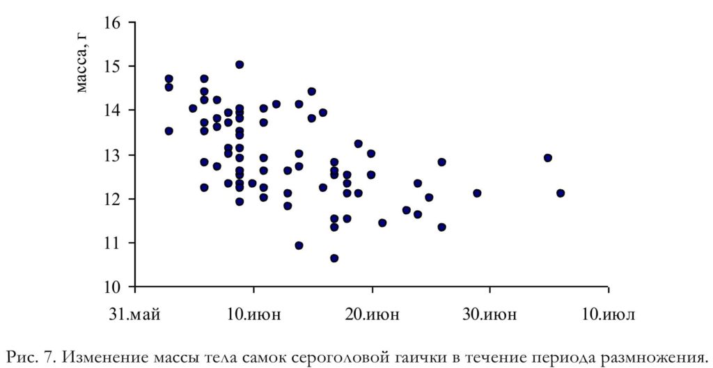Рис. 7. Изменение массы тела самок сероголовой гаички в течение периода размножения