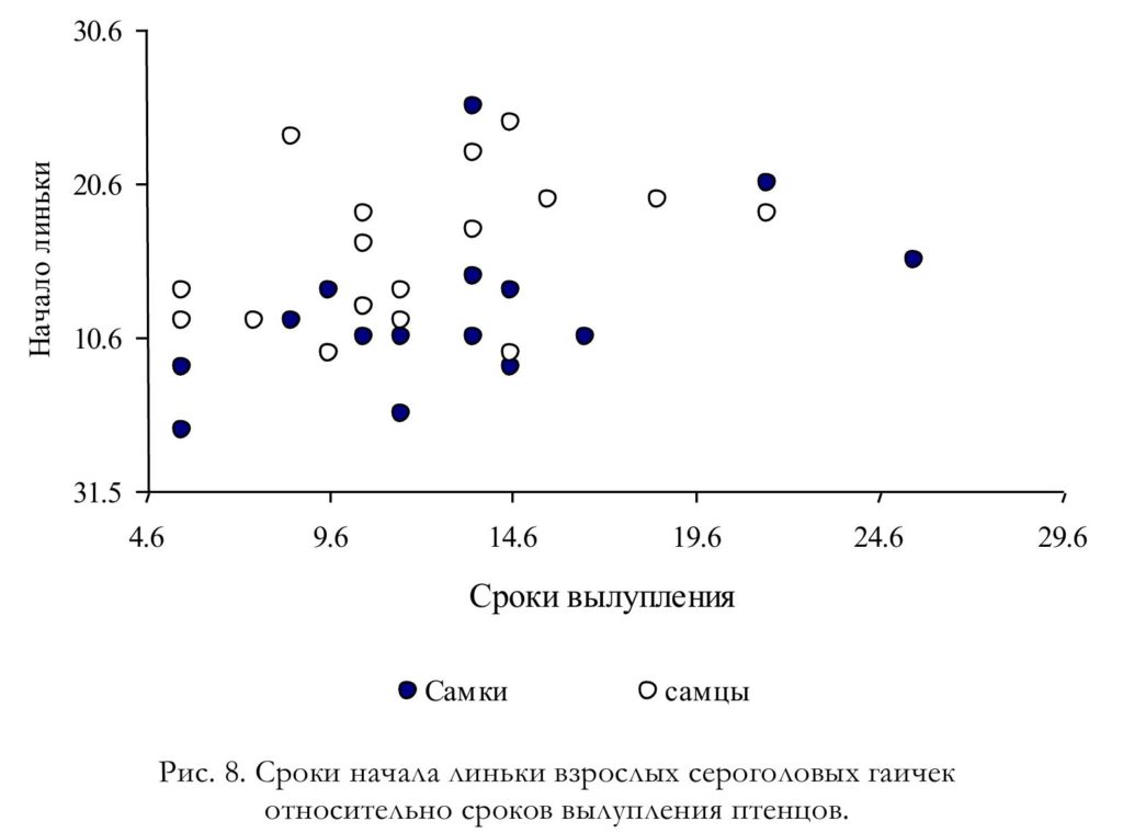 Рис. 8. Сроки начала линьки взрослых сероголовых гаичек относительно сроков вылупления птенцов
