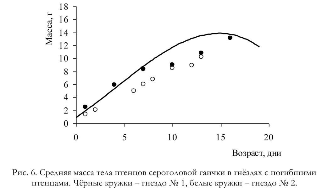 Рис. 6. Средняя масса тела птенцов сероголовой гаички в гнёздах с погибшими птенцами.