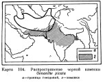 Черная каменка - Oenanthe picata карта ареала обитания