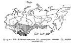 Златогузая каменка - Oenanthe chrysopygia карта ареала обитания-2