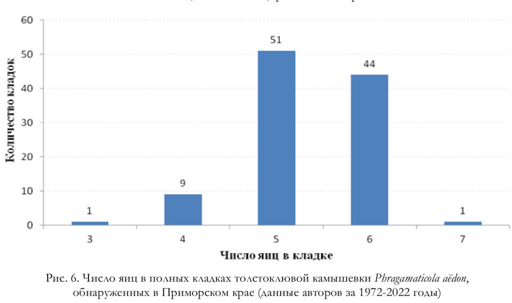 Число яиц в полных кладках толстоклювой камышевки Phragamaticola aёdon,
обнаруженных в Приморском крае