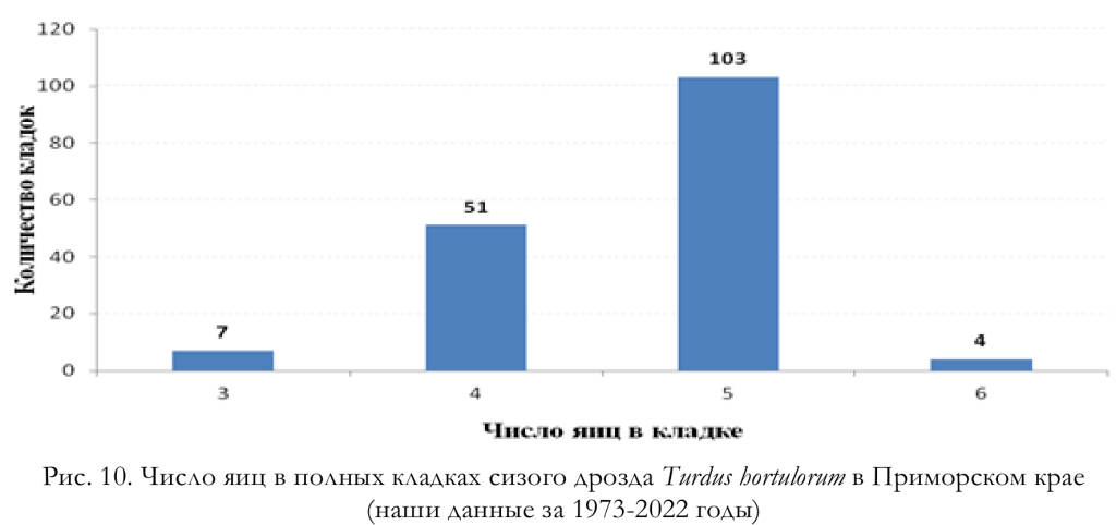 Число яиц в полных кладках сизого дрозда Turdus hortulorum в Приморском крае