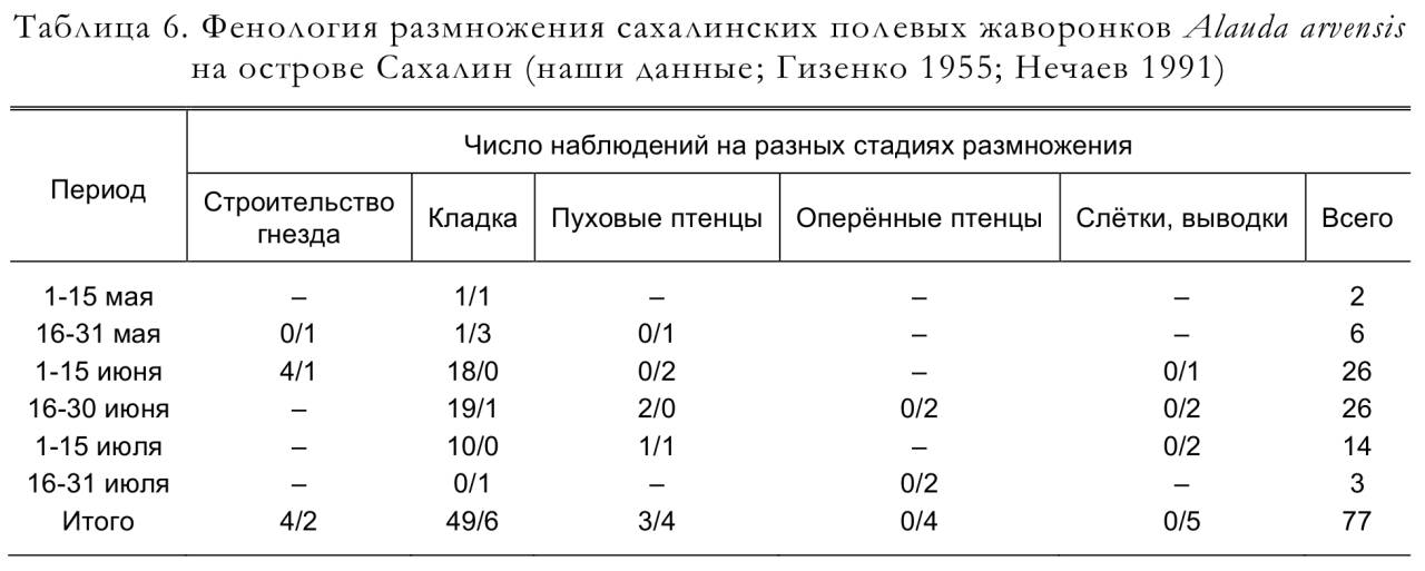 Фенология размножения сахалинских полевых жаворонков Alauda arvensis
на острове Сахалин