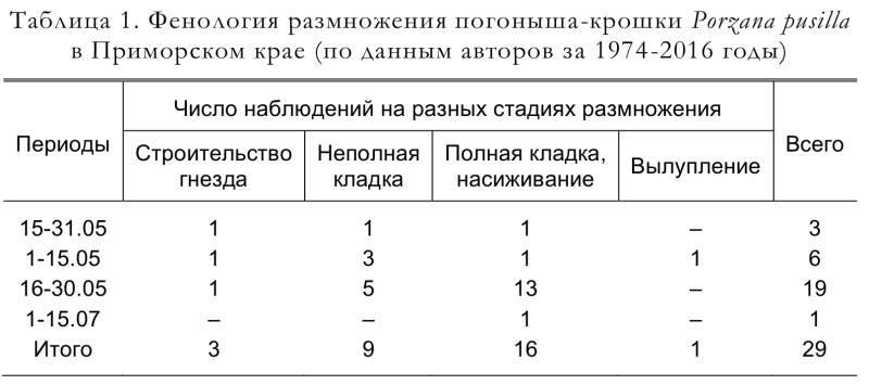 Фенология размножения погоныша-крошки Porzana pusilla
в Приморском крае