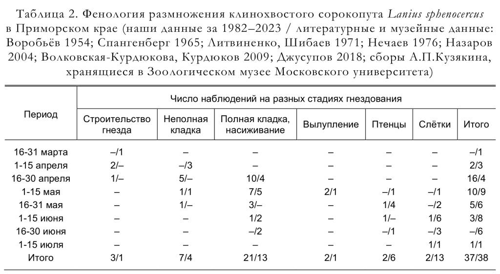 Фенология размножения клинохвостого сорокопута Lanius sphenocercus
в Приморском крае