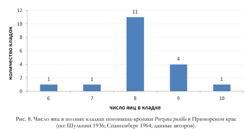 Число яиц в полных кладках погоныша-крошки Porzana pusilla в Приморском крае