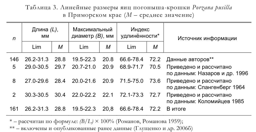 Линейные размеры яиц погоныша-крошки Porzana pusilla
в Приморском крае