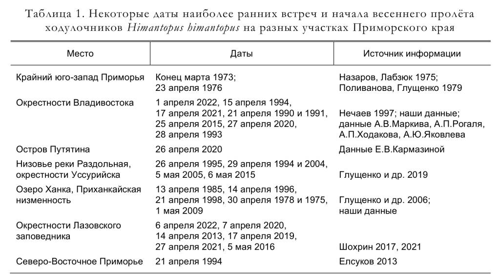 Некоторые даты наиболее ранних встреч и начала весеннего пролёта
ходулочников Himantopus himantopus на разных участках Приморского края
