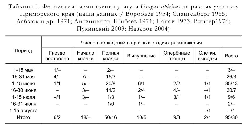 Фенология размножения урагуса Uragus sibiricus на разных участках
Приморского края