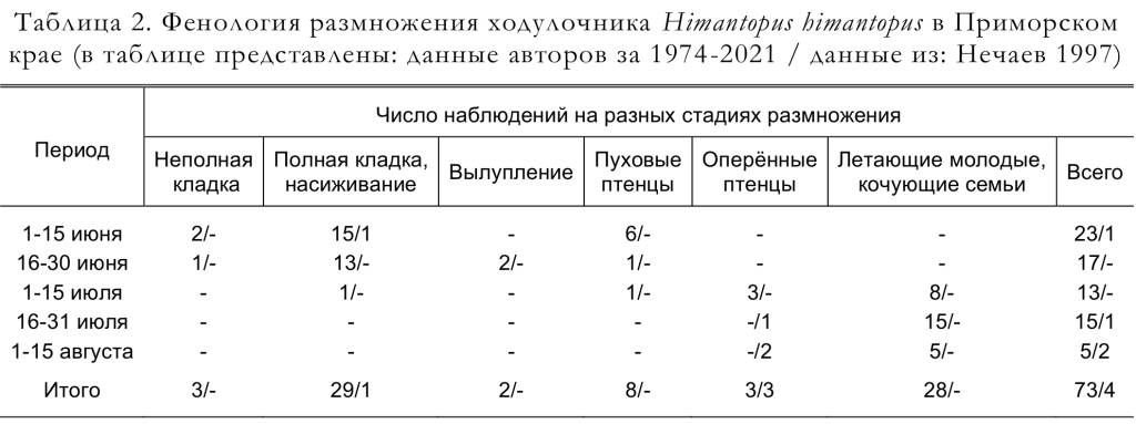 Фенология размножения ходулочника Himantopus himantopus в Приморском
крае