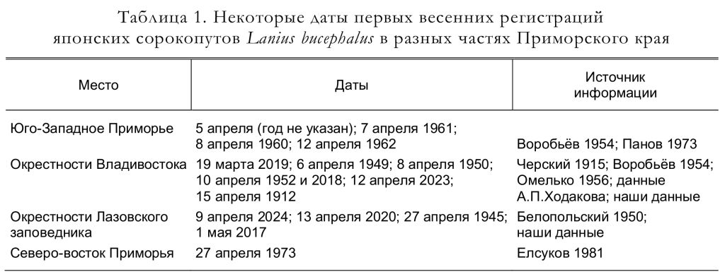 Некоторые даты первых весенних регистраций
японских сорокопутов Lanius bucephalus в разных частях Приморского края