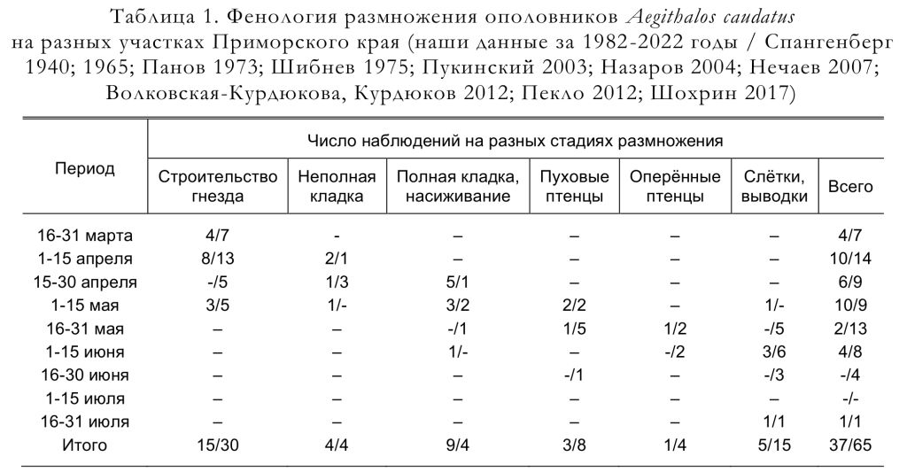 Фенология размножения ополовников Aegithalos caudatus
на разных участках Приморского края