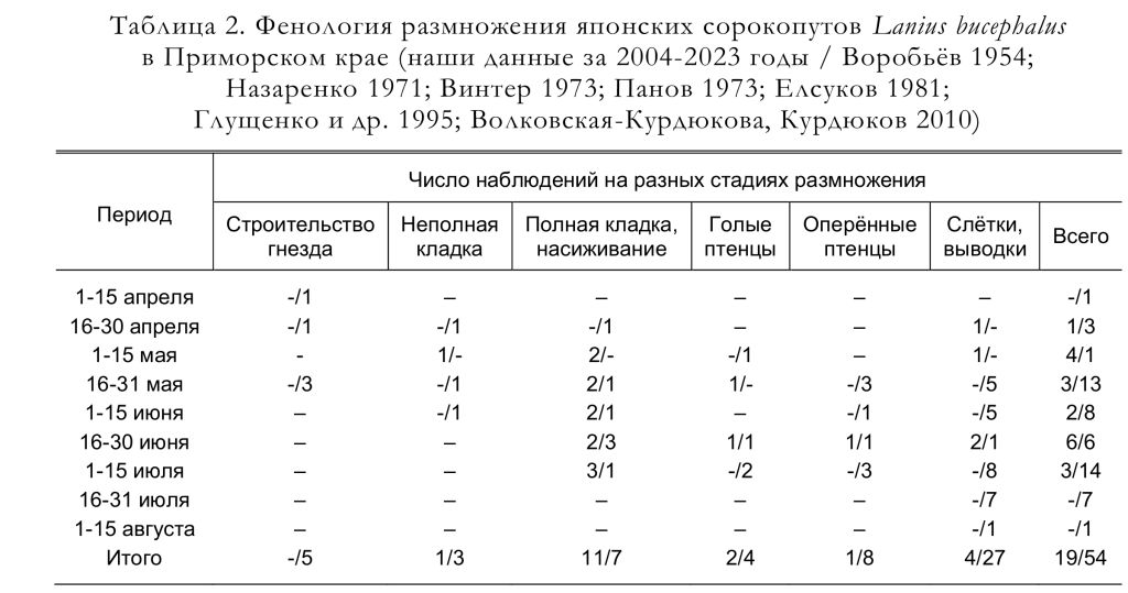 Фенология размножения японских сорокопутов Lanius bucephalus
в Приморском крае