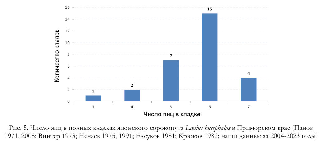 Число яиц в полных кладках японского сорокопута Lanius bucephalus в Приморском крае