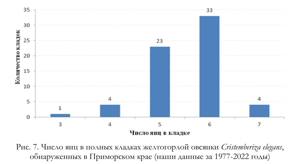 Число яиц в полных кладках желтогорлой овсянки Cristemberiza elegans,
обнаруженных в Приморском крае