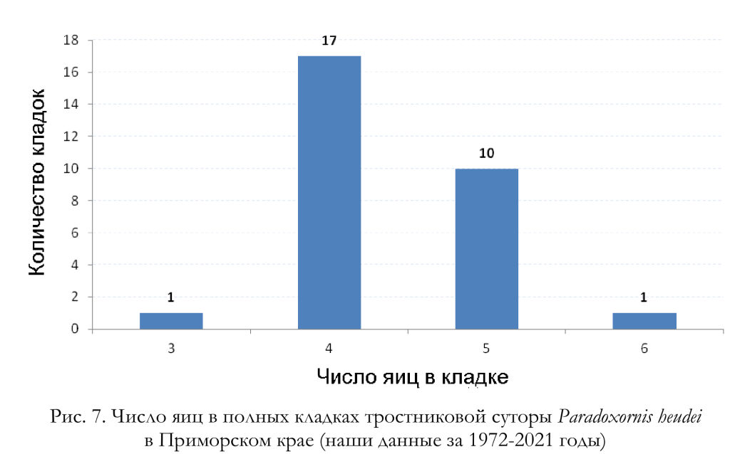 Число яиц в полных кладках тростниковой суторы Paradoxornis heudei
в Приморском крае