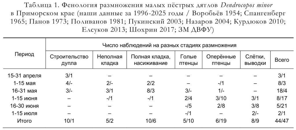 Фенология размножения малых пёстрых дятлов Dendrocopos minor
в Приморском крае