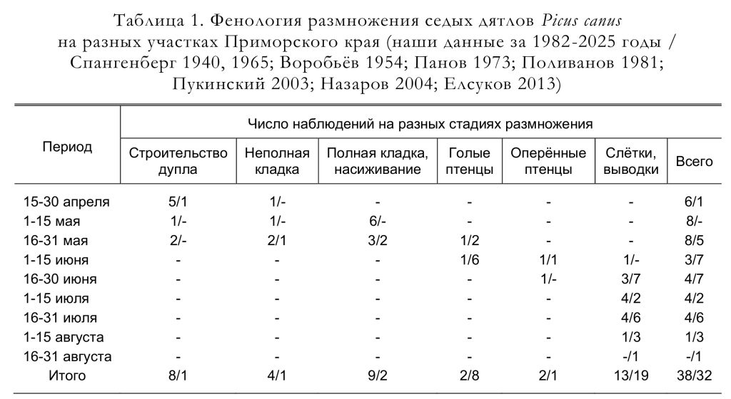 Фенология размножения седых дятлов Picus canus
на разных участках Приморского края