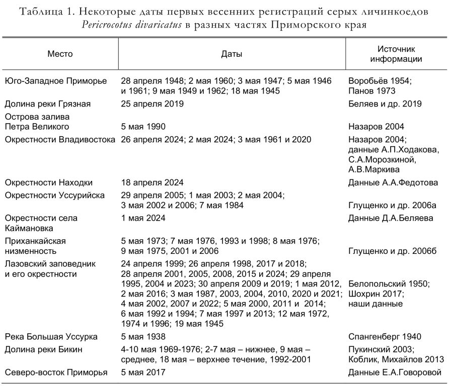 Некоторые даты первых весенних регистраций серых личинкоедов
Pericrocotus divaricatus в разных частях Приморского края
