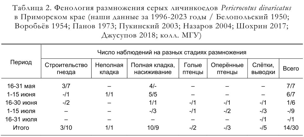 Фенология размножения серых личинкоедов Pericrocotus divaricatus
в Приморском крае