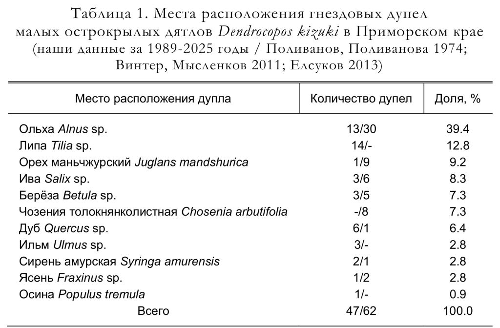 Места расположения гнездовых дупел
малых острокрылых дятлов Dendrocopos kizuki в Приморском крае