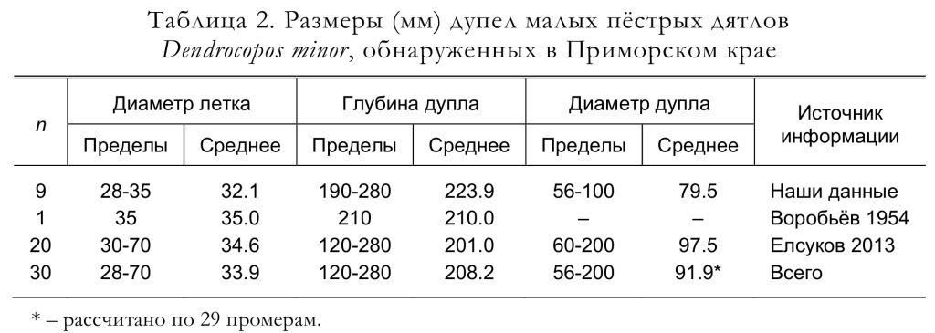 Размеры (мм) дупел малых пёстрых дятлов
Dendrocopos minor, обнаруженных в Приморском крае