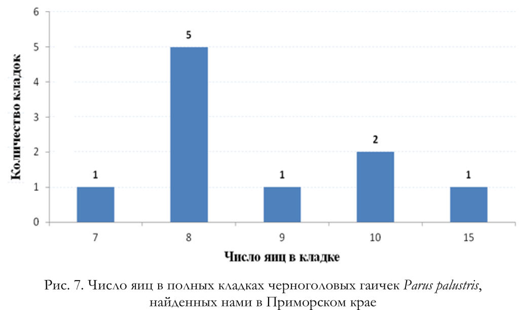 Число яиц в полных кладках черноголовых гаичек Parus palustris,
найденных нами в Приморском крае