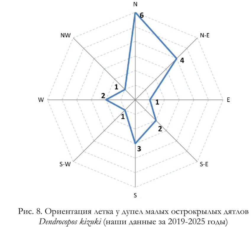 Ориентация летка у дупел малых острокрылых дятлов
Dendrocopos kizuki