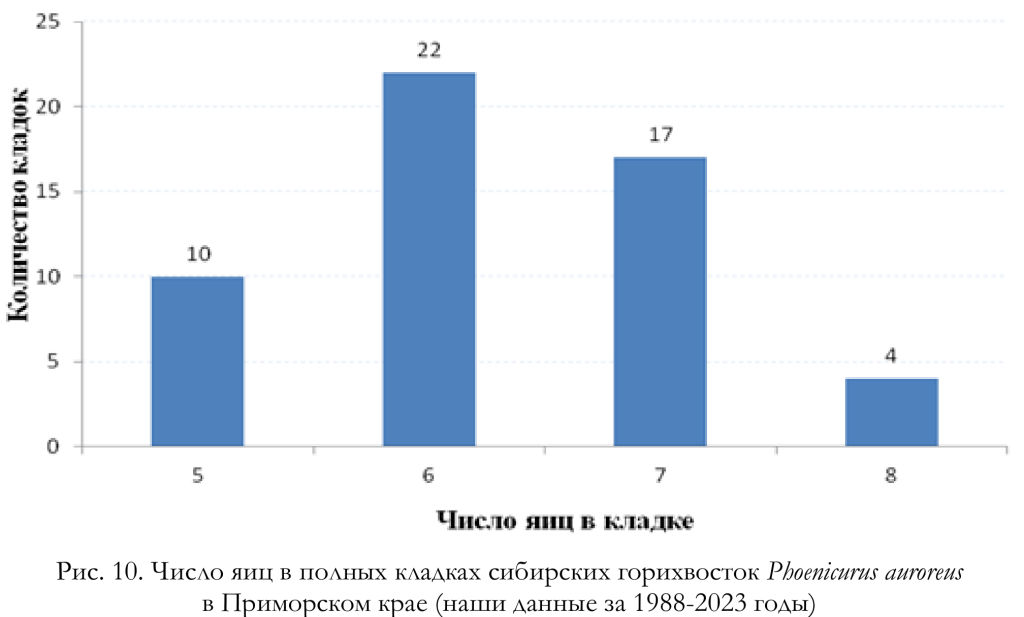 Число яиц в полных кладках сибирских горихвосток Phoenicurus auroreus
в Приморском крае