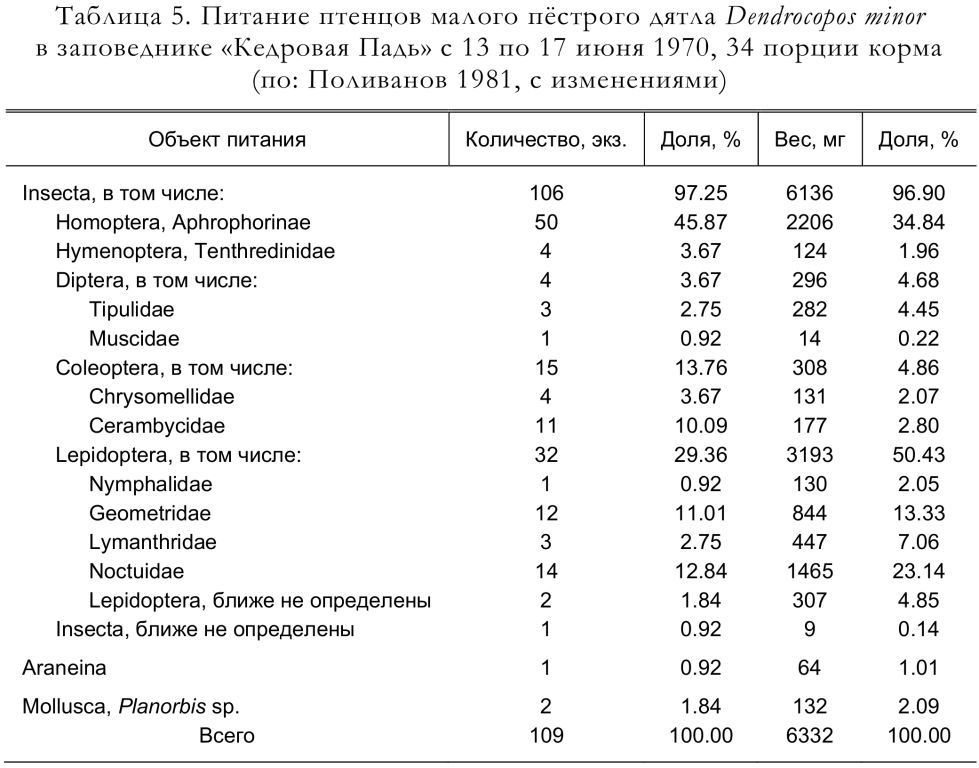 Питание птенцов малого пёстрого дятла Dendrocopos minor